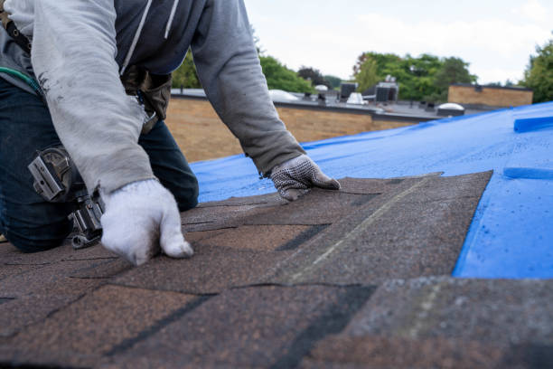 Best Commercial Roofing Services  in Spring Lake, MI